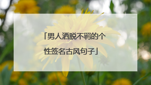 男人洒脱不羁的个性签名古风句子