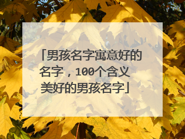 男孩名字寓意好的名字，100个含义美好的男孩名字