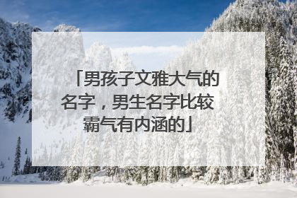 男孩子文雅大气的名字，男生名字比较霸气有内涵的