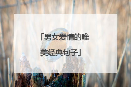 男女爱情的唯美经典句子