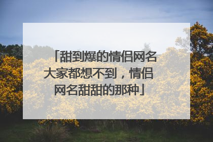 甜到爆的情侣网名大家都想不到，情侣网名甜甜的那种