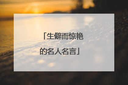 生僻而惊艳的名人名言