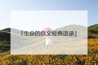 生命的意义经典语录