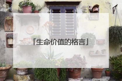 生命价值的格言