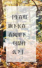 生在红旗下长在春风里下一句是什么?