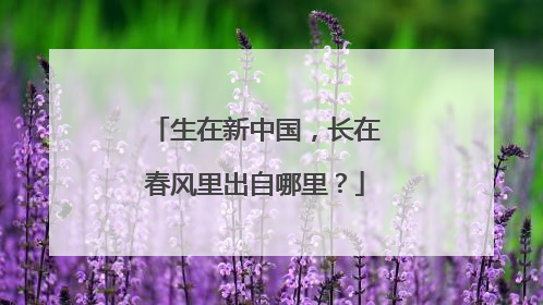 生在新中国,长在春风里出自哪里?