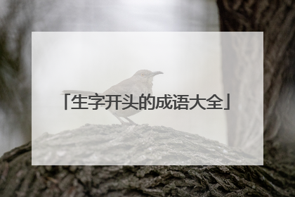 生字开头的成语大全