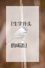 生字开头的成语