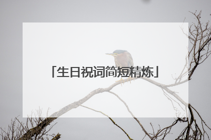 生日祝词简短精炼