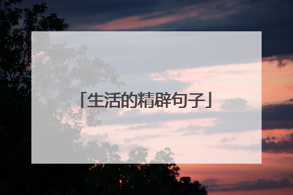 生活的精辟句子