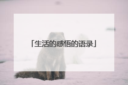 生活的感悟的语录