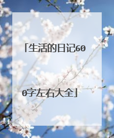 生活的日记600字左右大全