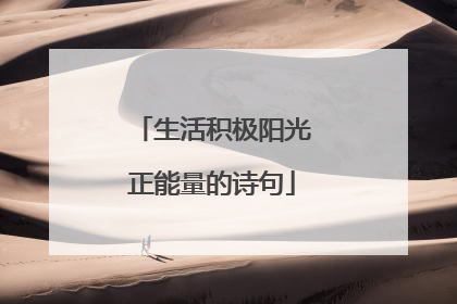 生活积极阳光正能量的诗句