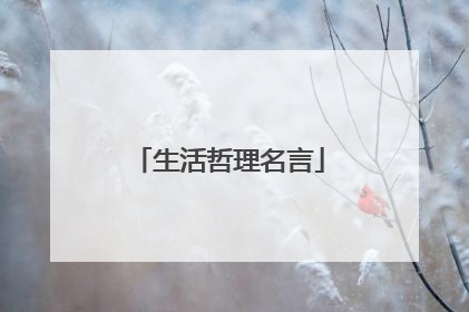 生活哲理名言