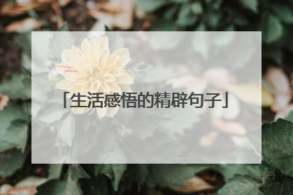 生活感悟的精辟句子