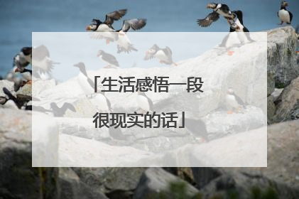 生活感悟一段很现实的话