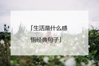 生活是什么感悟经典句子