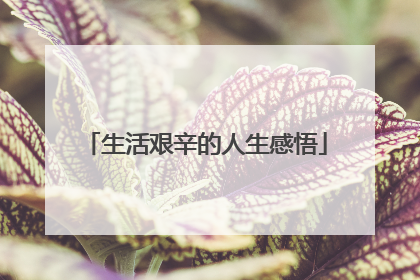 生活艰辛的人生感悟
