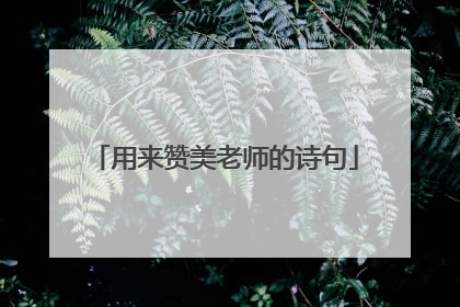 用来赞美老师的诗句