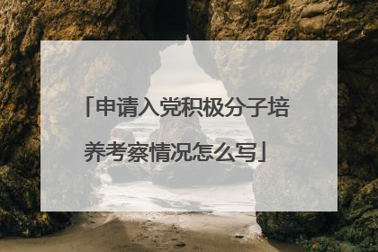 申请入党积极分子培养考察情况怎么写