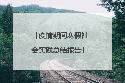 疫情期间寒假社会实践总结报告