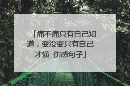 痛不痛只有自己知道，变没变只有自己才懂_伤感句子