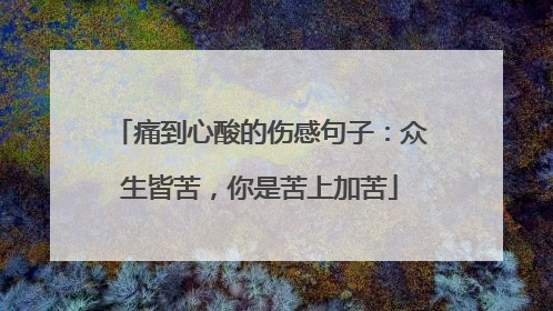 痛到心酸的伤感句子：众生皆苦，你是苦上加苦