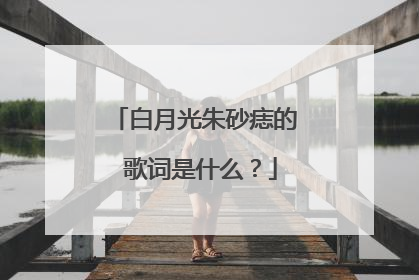 白月光朱砂痣的 歌词是什么？