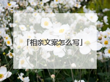 相亲文案怎么写