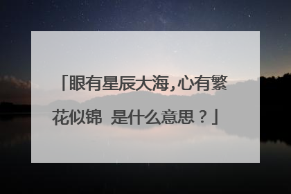 眼有星辰大海,心有繁花似锦 是什么意思？