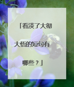 看淡了大彻大悟的短句有哪些?