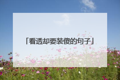 看透却要装傻的句子