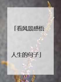 看风景感悟人生的句子