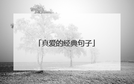 真爱的经典句子
