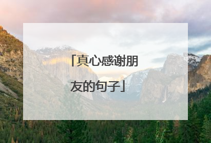真心感谢朋友的句子