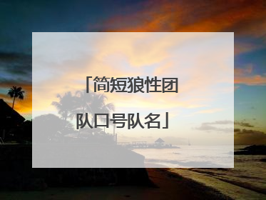 简短狼性团队口号队名