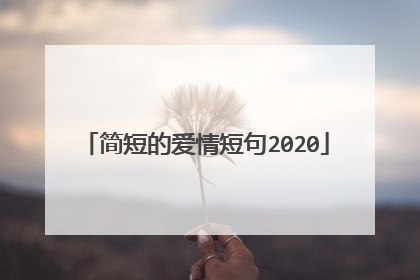 简短的爱情短句2020