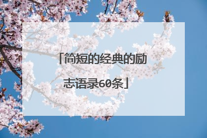 简短的经典的励志语录60条
