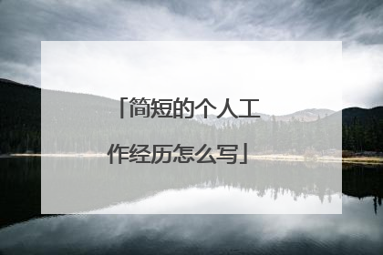 简短的个人工作经历怎么写