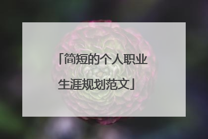 简短的个人职业生涯规划范文