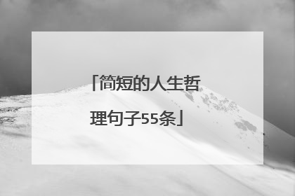 简短的人生哲理句子55条