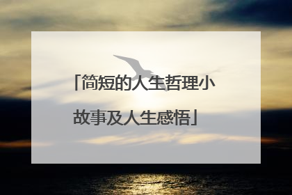 简短的人生哲理小故事及人生感悟