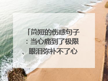 简短的伤感句子：当心痛到了极限、眼泪弥补不了心碎_伤感句子