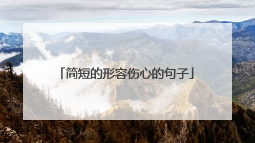 简短的形容伤心的句子