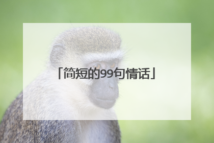 简短的99句情话