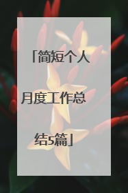 简短个人月度工作总结5篇