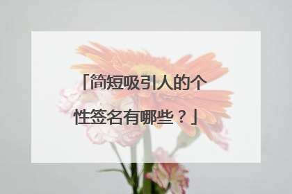 简短吸引人的个性签名有哪些？