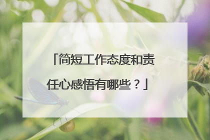 简短工作态度和责任心感悟有哪些？