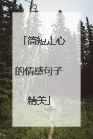 简短走心的情感句子精美