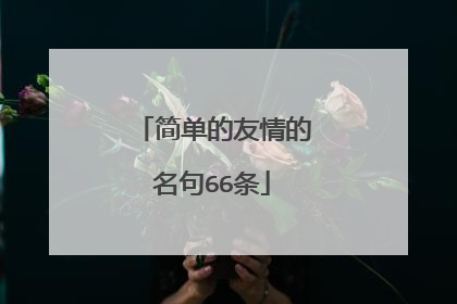 简单的友情的名句66条